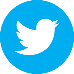 socialtwitter 250